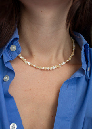 Seashell Necklace Set