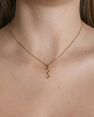 Box Chain Necklace