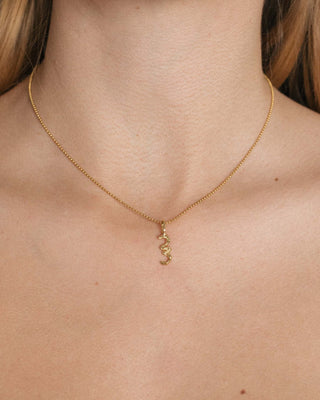 Gold Dust Chain Necklace