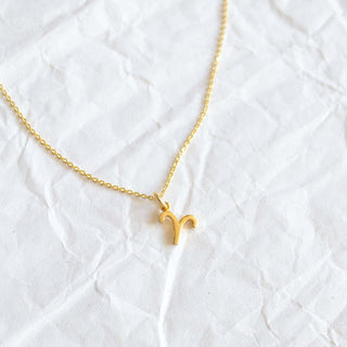 Zodiac Sign Necklace Solid Gold picothestore